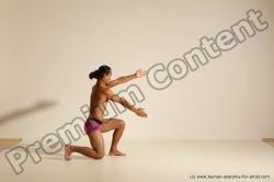 Elmer - Traditional Korean Art